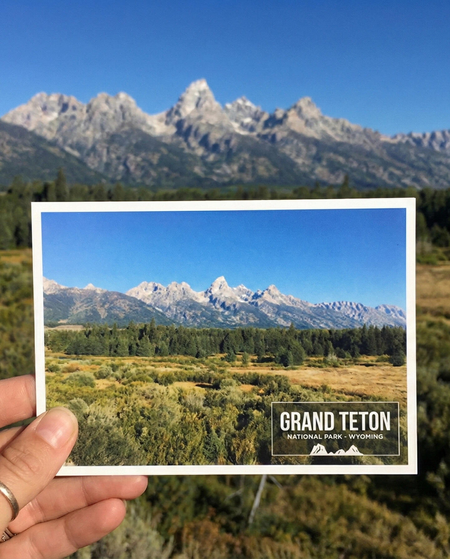 A hand holding an Odyssey postcard of Grand Teton National Park against the real mountain range